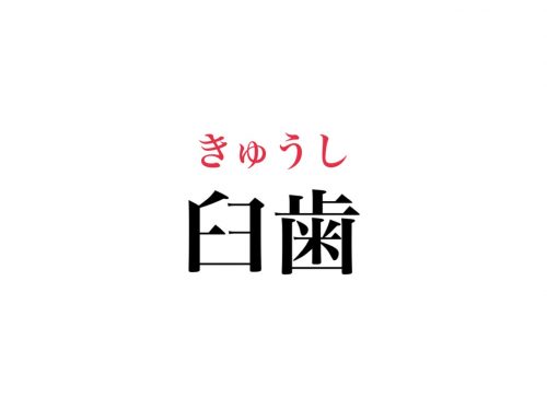臼歯の読み方