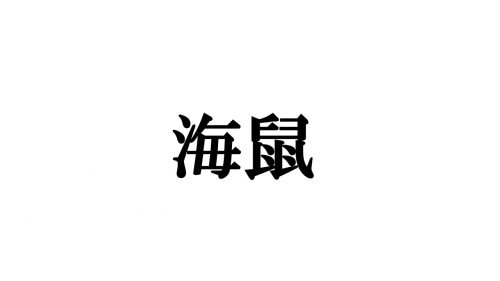 「海鼠」