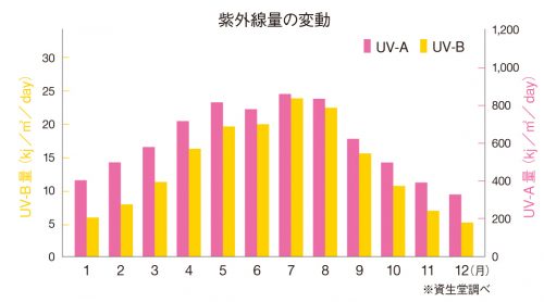 ■年中降りそそぐ紫外線は色白肌に大敵！