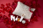 HACCI（ハッチ）／HACCI Precious Holiday（￥27,000）