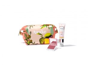 Awake(アウェイク)/アウェイク ホリデー メイクアップ キット(¥5,000)