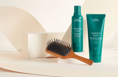 AVEDA（アヴェダ）／ボタニカル リペア ＆ ミニ パドル ギフト（￥8,900）