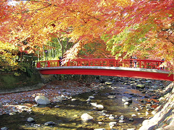 修善寺温泉 桂橋