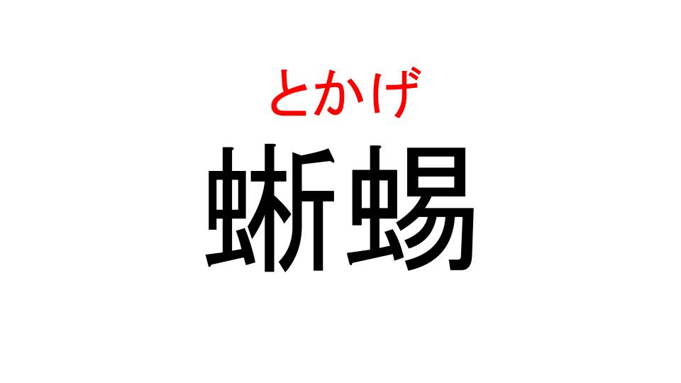 蜥蜴