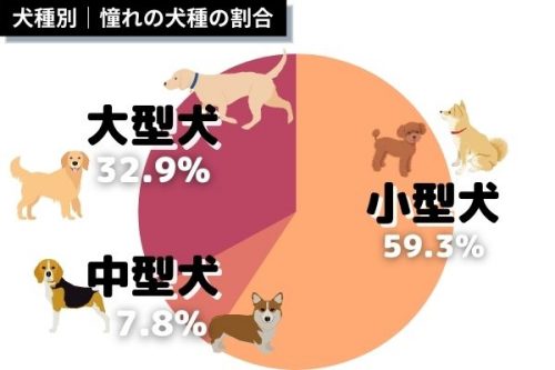 犬種別憧れの犬種の割合