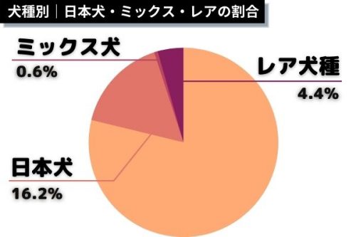 犬種別　日本犬・ミックス・レアの割合