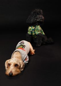 DIESEL ドッグウェアコレクション　カモフラージュパーカー　3S 新品未使用 おしゃれすぎてキュン♡ ディーゼルの初ドッグウェアをチェック