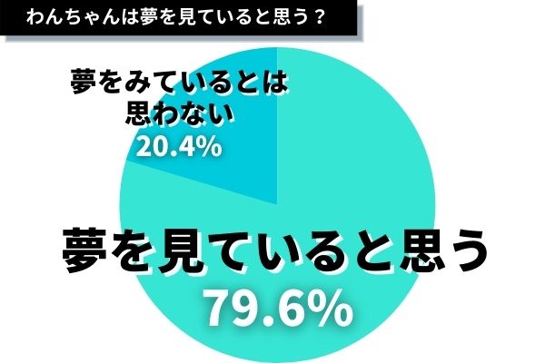 ワンちゃんは夢を見ていると思う？