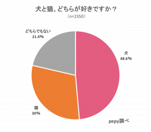 犬と猫どちらが好きですか?