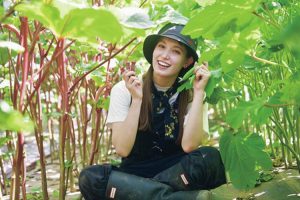 野菜畑とトラちゃん