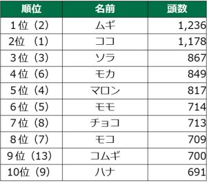 犬の名前総合ランキング　1位ムギ、2ココ、3位ソラ、4位モカ、5位マロン、6位モモ、7位チョコ、8位モコ、9位コムギ、10位ハナ