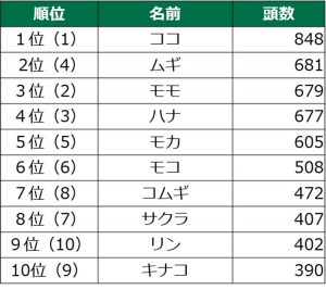 犬の名前女の子部門 1位ココ、2位ムギ、3位モモ、4位ハナ、5位モカ、6位モコ、7位コムギ、8位サクラ、9位リン、10位キナコ