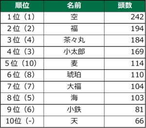 漢字で表記される名前 男の子部門 1位空、2位福、3位茶々丸、4位小太郎、5位麦、6位琥珀、7位大福、8位海、9位小鉄、10位天