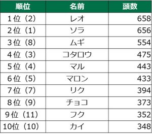 犬の名前男の子部門 1位レオ、2位ソラ、3位ムギ、4位コタロウ、5位マル、6位マロン、7位リク、8位チョコ、9位フク、10位カイ