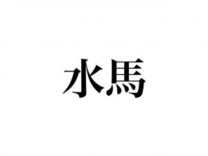 水馬（問題）