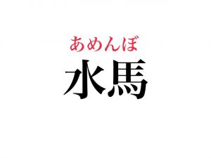 あめんぼ（答え）