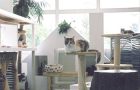 ねこの博物館【静岡県伊東市】