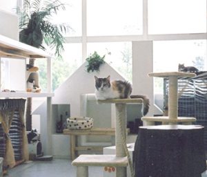 ねこの博物館【静岡県伊東市】