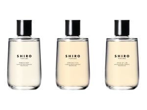 shiro1-300x225.jpg