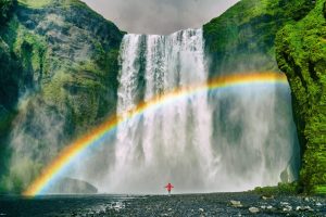 Shutterstock_1145748482-