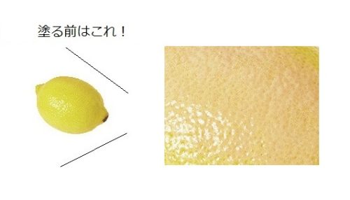 フローレス ルミエール ラディアンス パーフェクティング トーンアップ クッション