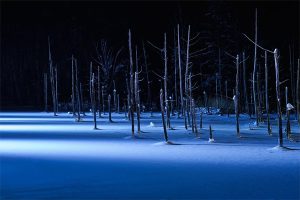 冬にしか見られない絶景がある！「一度は見てみたい冬の絶景ランキング