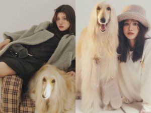 MaxMara【入手困難】暖かリバーシブル★テディベア ハット★全色 MaxMara【入手困難】暖かリバーシブル☆テディベア ハット☆全色