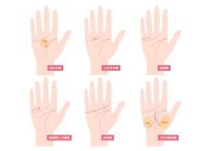 専用のページになります。手相鑑定 珍しい手相はこれ！ ますかけ線や十字など珍しい出方をチェック