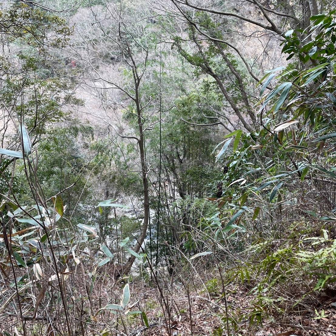 厳しいハイキングコース