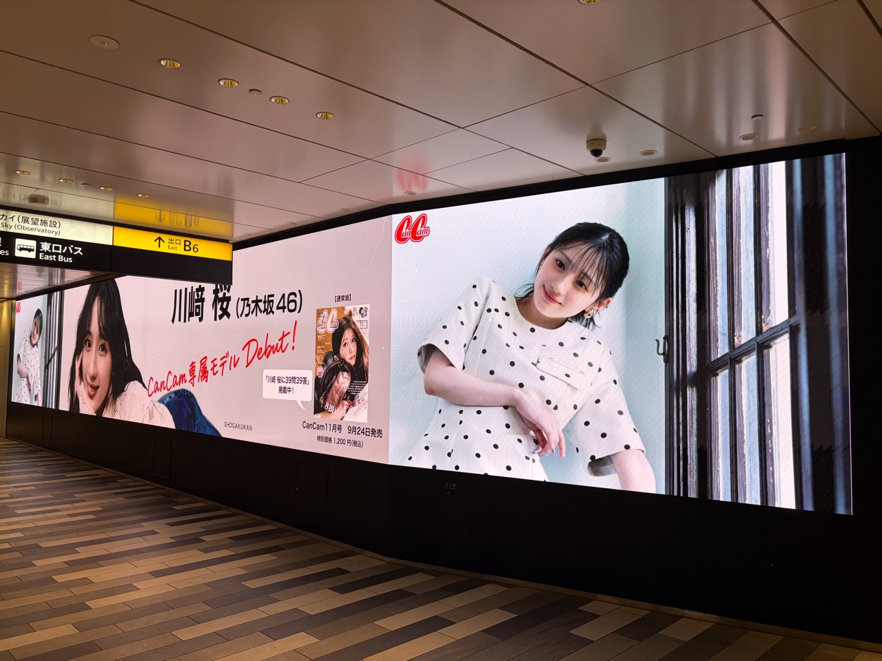 サイネージ