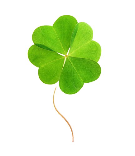 shutterstock_142668505
